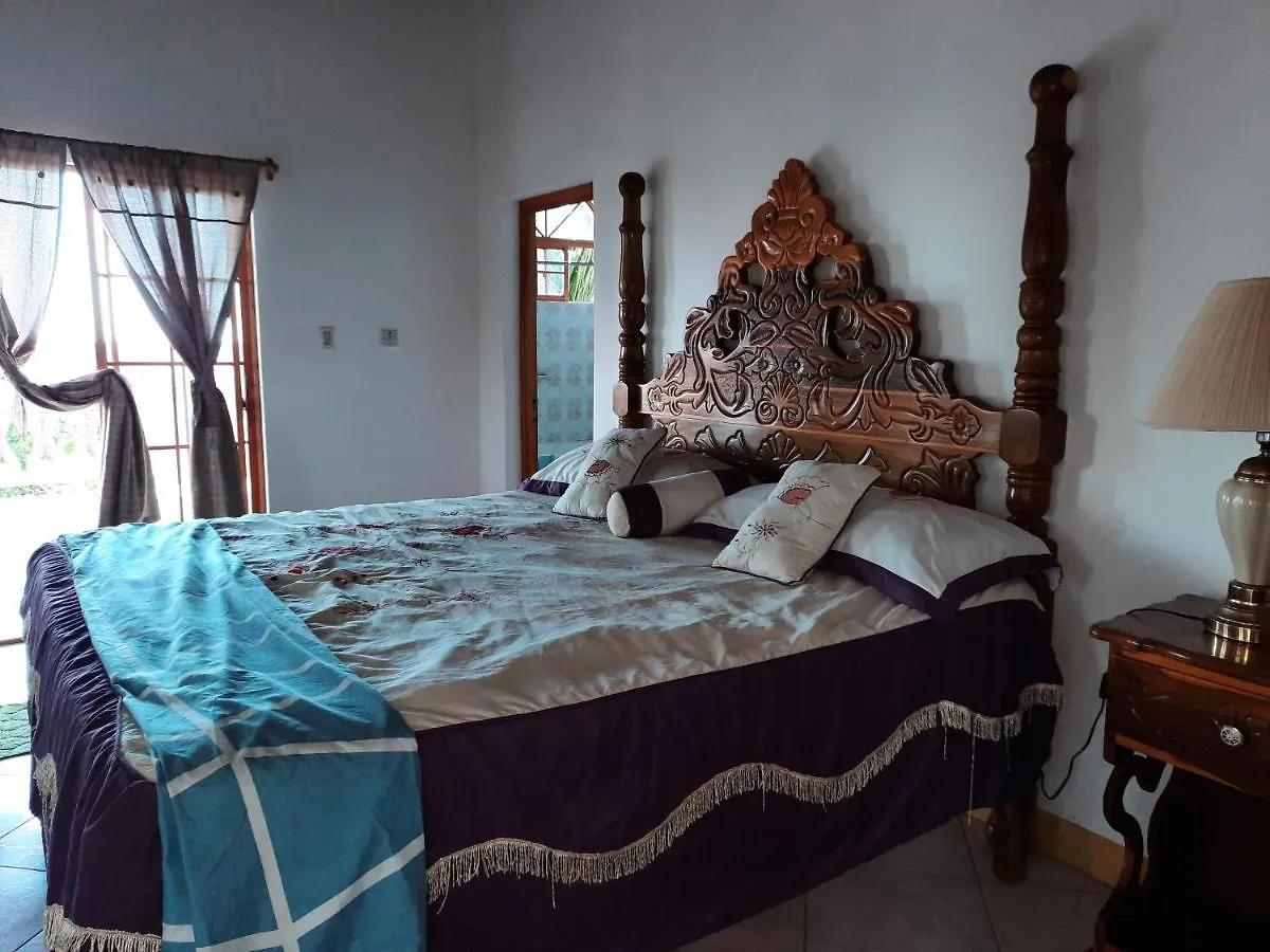 Burg Ann'S Villa Montego Bay Guest house