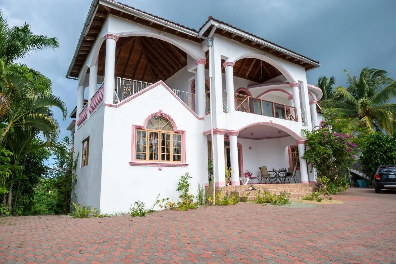ゲストハウス Burg Ann'S Villa モンテゴ・ベイ